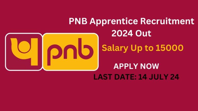 PNB Apprentice Recruitment 2024 picture